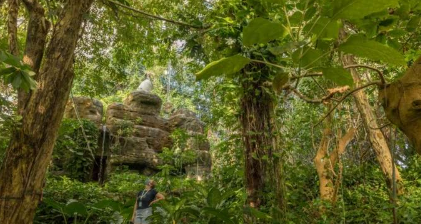 生物圈2号上的雨林让您瞥见了亚马逊的未来