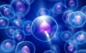 研究发现基于磷酸化的生物标记物可指导癌症治疗