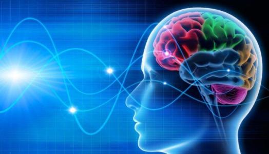 过度活跃的脑电波引发原发性震颤