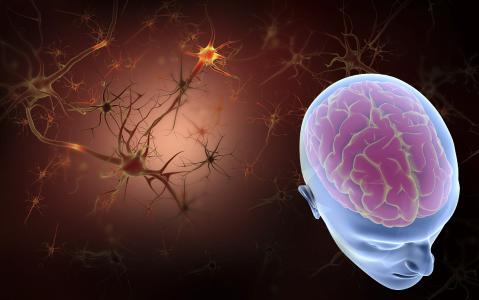 Cryo-EM揭示了神经疾病的潜在药物靶标