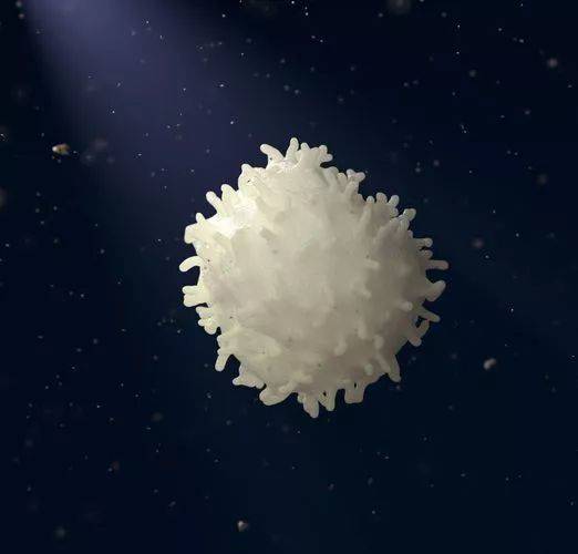 适应性人类免疫力取决于导致白细胞形成的因素