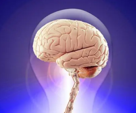 神经保护分子可以改善记忆力和认知能力