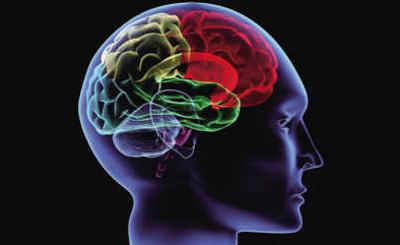 MU研究人员发现人脑在身体受伤后可以自我重塑