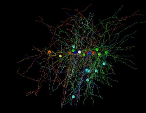 Rensselaer开发的深度神经网络可以改善癌症护理