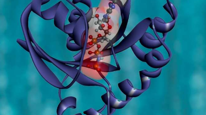 机器学习揭示了构建人造蛋白质的秘诀