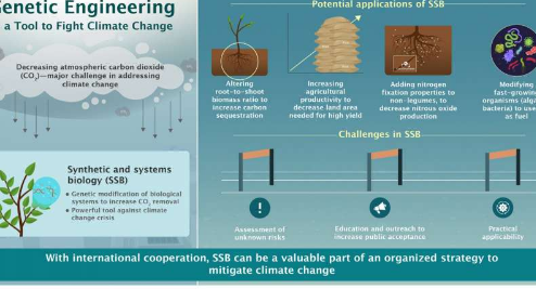设计出解决气候变化的方法 转基因生物可能是关键