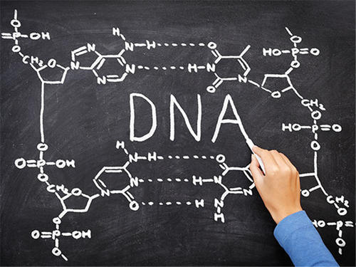 DTC测试结果给遗传服务带来重大负担