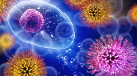 研究表明噬菌体可用于治疗食源性病原体并减少食物中毒