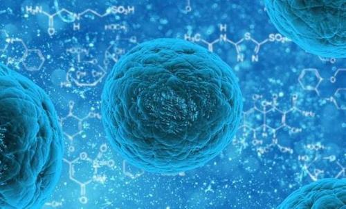 国大研究人员发现一种新型蛋白质可促进癌症进展