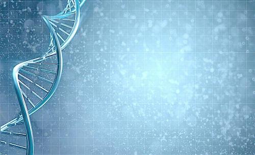 研究人员研究了癌症治疗与DNA修复基因中遗传突变的综合作用