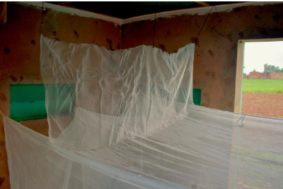 新颖的蚊帐设计提高了抗药性蚊子的安全性