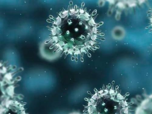 梅奥诊所的研究人员阐明了细胞如何防御病毒