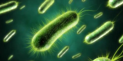 自我清洁的表面甚至可以击退最致命的超级细菌