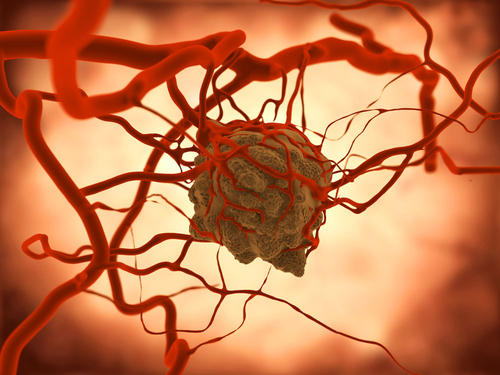 癌细胞与成纤维细胞之间的相互作用促进转移