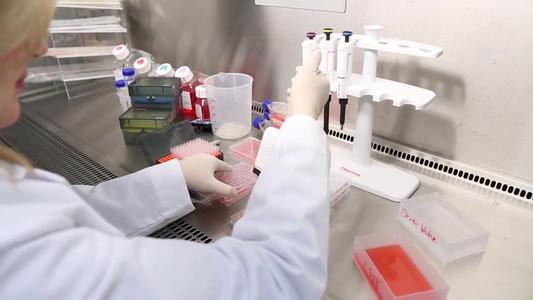 在研究的细胞时常见使用抗生素可能会扭曲测试