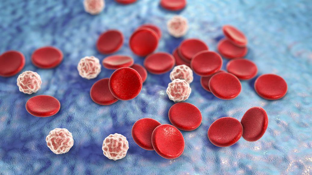 研究人员开发出新的显像剂来检测活化的血小板