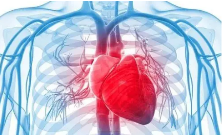 心血管疾病危险因素的快速进展可以揭示高危个体