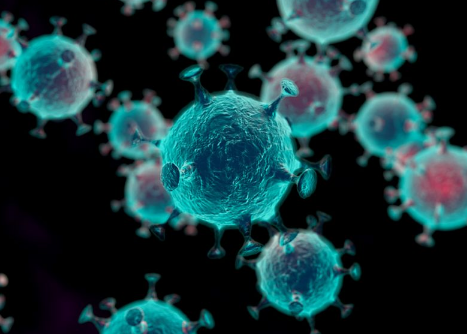 免疫疗法可能对前列腺癌的亚群有效