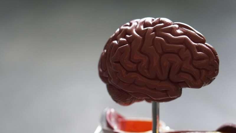 研究将脑能量缺乏与偏头痛易感性联系起来 