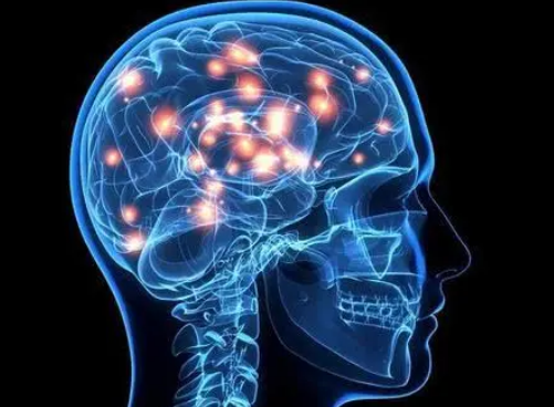 培养的微型大脑揭示罕见综合征的常见原因