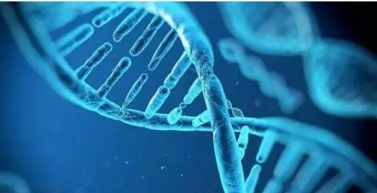 新书使用基因组方法提高了对罕见疾病遗传学的理解