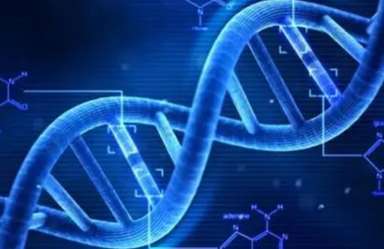 兰博加快对庞大DNA数据库的搜索