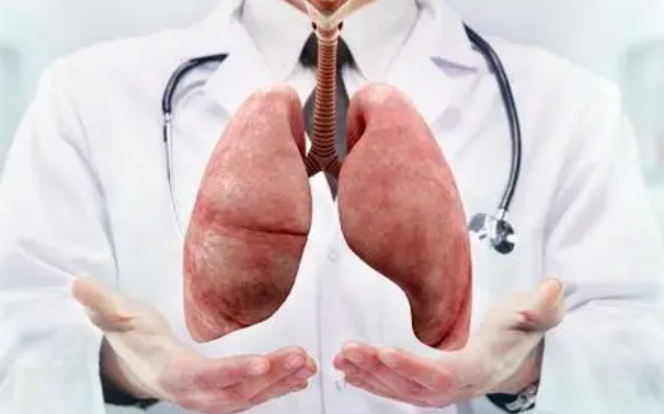 CHOP研究人员发现对肺部健康至关重要的细胞具有独特的免疫反应