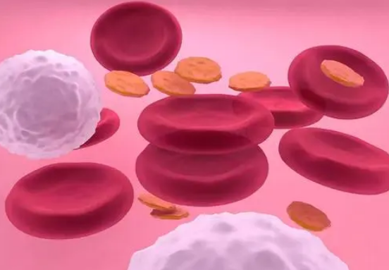 造血干细胞使脑肿瘤更具侵袭性
