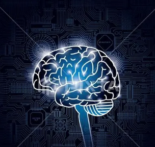 研究人员确定了灵性的大脑回路