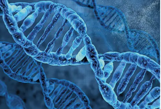 研究人员新发现的单个基因中的遗传变异导致神经发育障碍