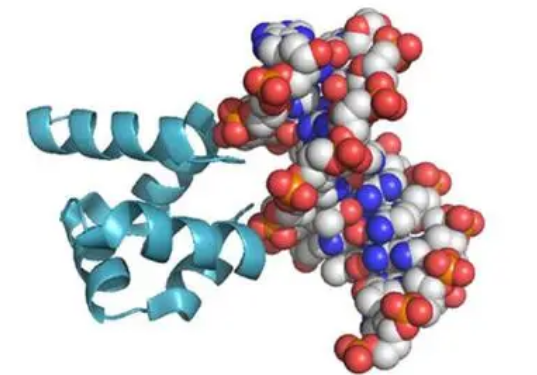 RNA结合蛋白代表了一类新的三阴性乳腺癌药物靶点