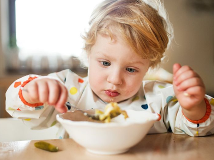 研究还表明对食物的视觉和气味的渴望与儿童无法自我安抚有关