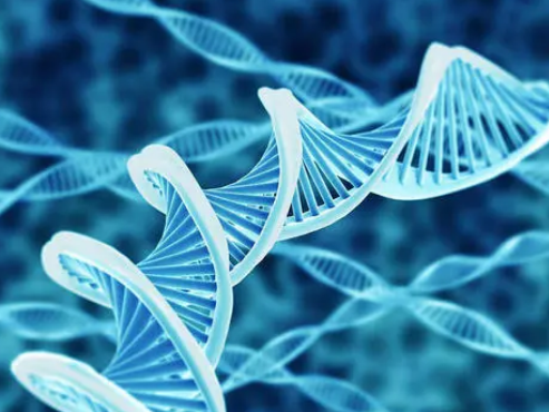 新的基因组学工作簿帮助人们利用他们的家族史来评估疾病风险