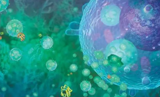 体液中细胞外囊泡的形状可能是识别癌症类型的生物标志物