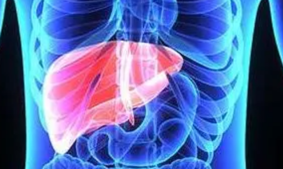 纽约大学研究人员解开了允许肝脏再生的表观遗传密码