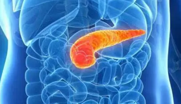 刺激免疫细胞形成特殊结构可以加强胰腺癌的化疗