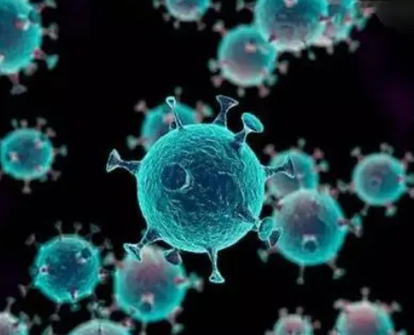科学家设计的细菌酶被认为可以秘密地抑制免疫反应