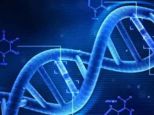 南加州大学的研究人员发现了识别DNA变异的更好方法
