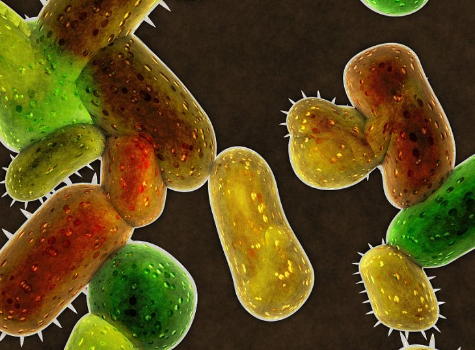 UArizona健康科学研究人员说细菌是阴道健康的关键