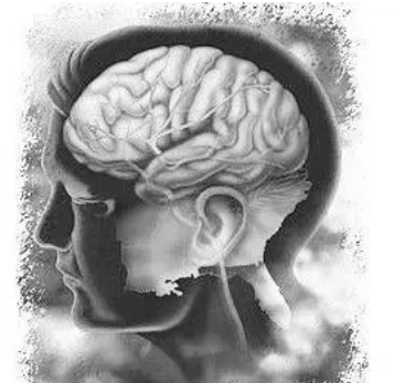 NIH资助的研究表明轻度脑损伤后的成像可以预测结果
