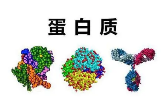 科学家鉴定出与最常见白血病形式相关的蛋白质标记物