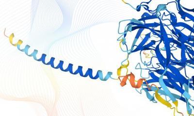 DeepMind和EMBL发布最完整的人类蛋白质3D结构预测数据库