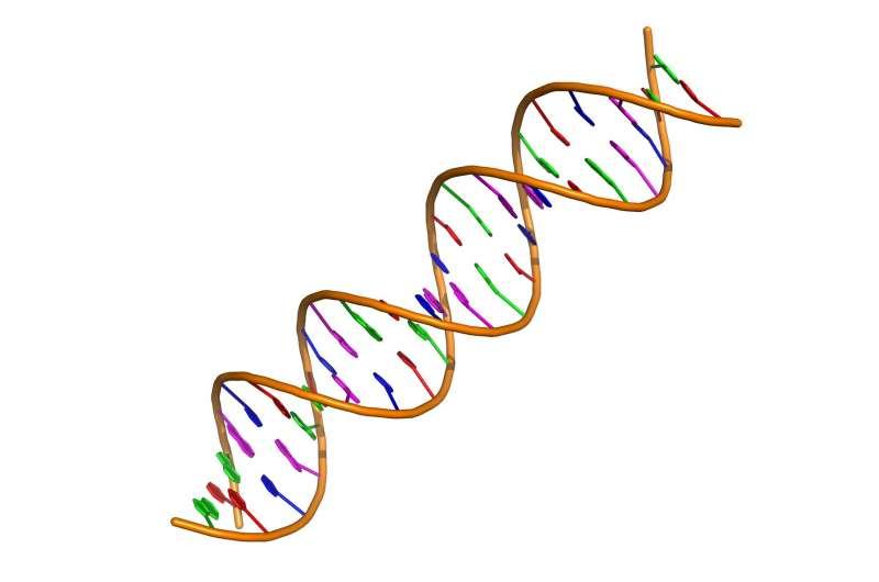 垃圾DNA序列在衰老和癌症中的潜在作用