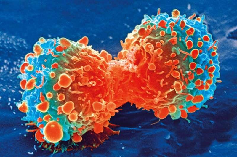 卵巢癌的关键新分子机制和生物标志物