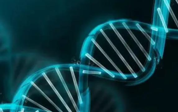 DNA检测可预测头颈癌的治疗反应