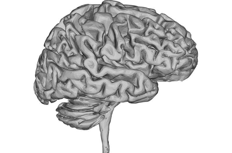 3D热图显示癫痫发作如何在癫痫患者的大脑中传播