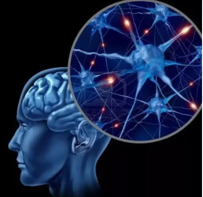 研究大脑的中继过程以指导大脑疾病的治疗