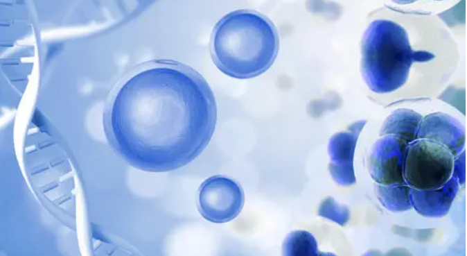 干细胞研究中逆转的关键ALS标志物