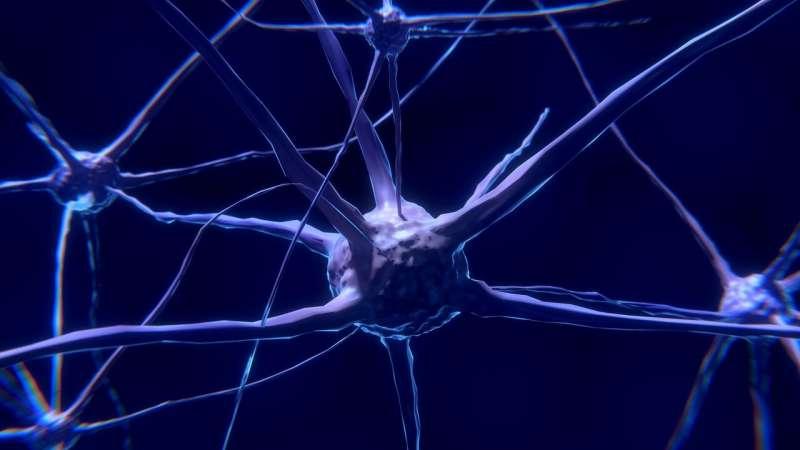 研究人员将大脑记忆信号与血糖水平联系起来