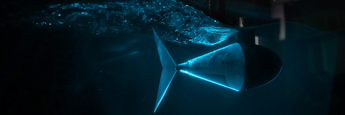 机器鱼尾和优雅的数学比例可以为下一代水下无人机的设计提供信息